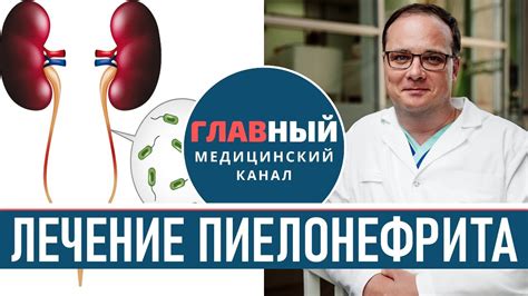 Лечение необструктивного пиелонефрита
