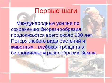 Локальные и международные усилия по сохранению и увеличению популяций дуба