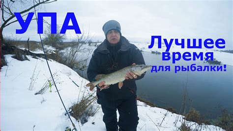 Лучшее время года для рыбалки в окрестностях Щелковского района