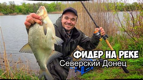 Лучшие локации для рыбалки фидером в Ленобласти