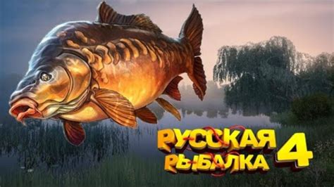 Лучшие места для нахождения вкусной вьюнки в игре "Русская рыбалка 4"