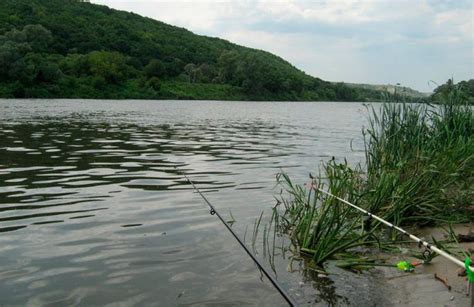 Лучшие места для русской рыбалки: открытые водоемы и реки