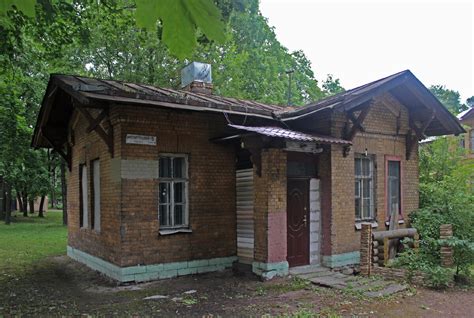 Лучшие места для сбора лесной синевы в окрестностях Санкт-Петербурга