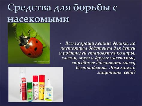 Любаня - отличный способ борьбы с вредными насекомыми на вашей приусадебной территории