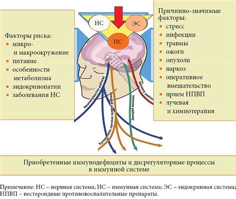 Малоупомянутые факторы неслучайного обнаружения подозреваемого: значимые моменты