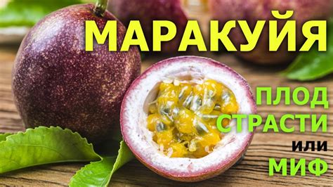 Маракуйя как источник белка и витаминов для людей страдающих сахарным диабетом