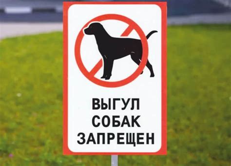 Места, где запрещено поимка бабочек: нарушение законодательства