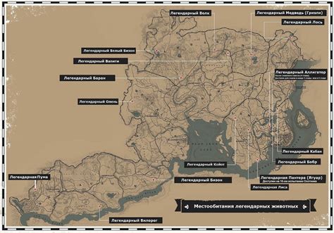 Места обитания американской желтобрюхой жабы в игре Red Dead Redemption 2: где искать