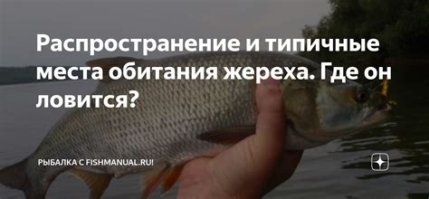 Места обитания яртышника: географическое распространение
