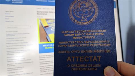 Место, где выдается аттестат о профилактических вакцинациях