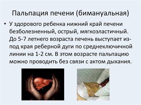 Методы исследования наличия мака после приема пищи