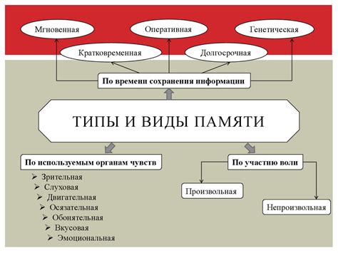 Механизмы сохранения информации и преодоления обратных процессов