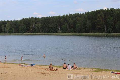 Молочное озеро: идеальное место для улова вишневчика в Подмосковье
