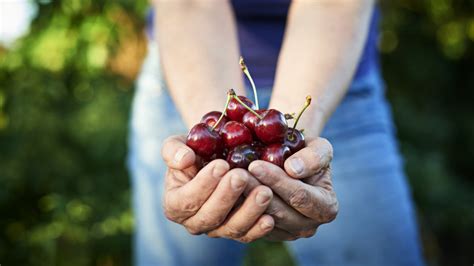 Молочные продукты, способствующие улучшению сна