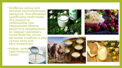 Молочные продукты: кисель, творог и кумыс в питании обитателей древней Руси