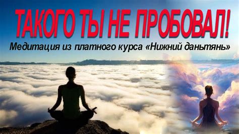 Мята как эффективное средство для расслабления и повышения настроения перед сном