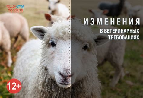 Намеченные изменения в требованиях к товарам в Беларуси в предстоящем году