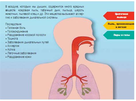 Нарушения и заболевания работы вибрирующего эпителия: проблемы и воздействие на организм