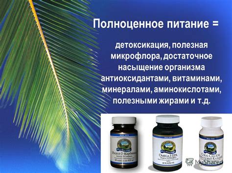 Насыщение организма необходимыми витаминами и минералами