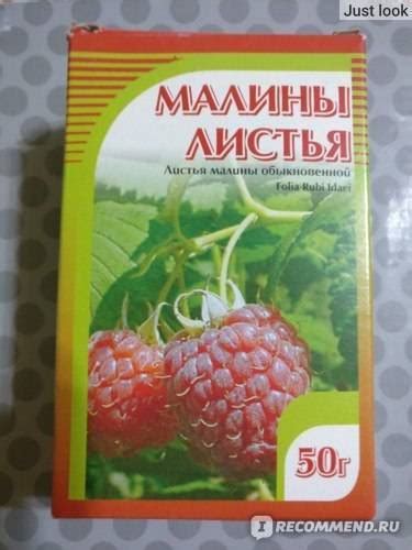 Натуральная альтернатива лекарственным препаратам перед родами: малиновые листья