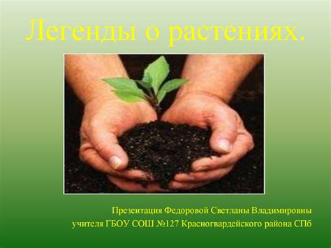 Научные источники развеивают сомнения о растениях
