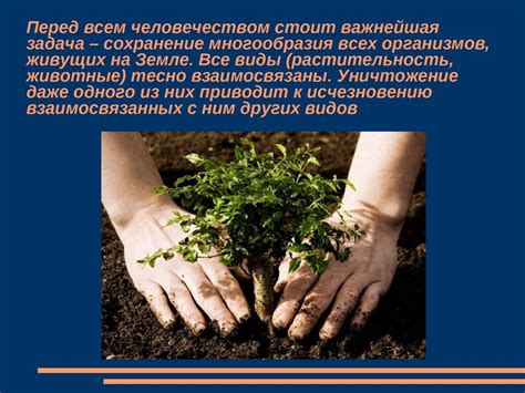 Негативное воздействие на корневую систему