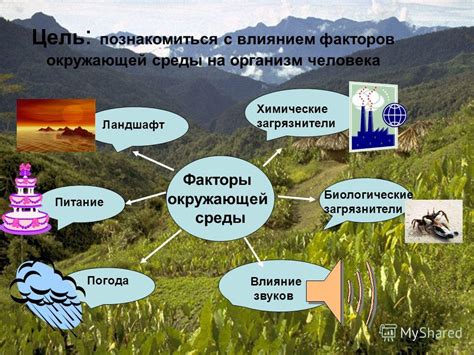 Негативное воздействие окружающей среды и его воздействие