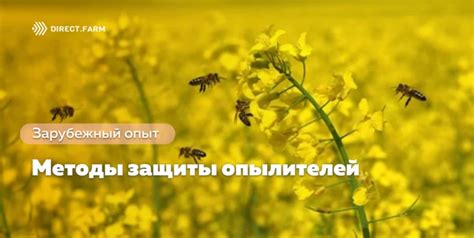 Недостаток опылителей