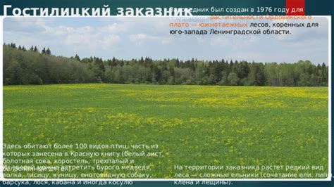 Обзор и анализ ареалов распространения лещины в Ленинградской области