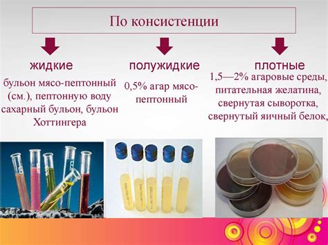 Обзор основных причин применения питательных субстанций
