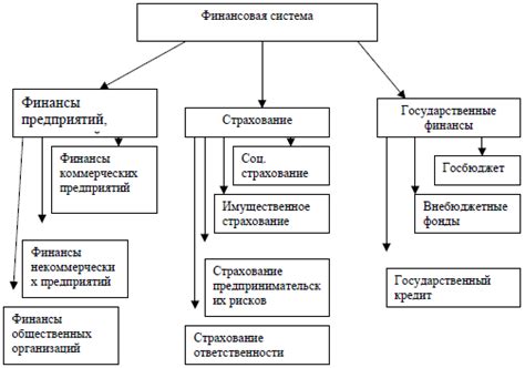 Обзор различных форм финансовой поддержки и их влияние на систему социальной защиты