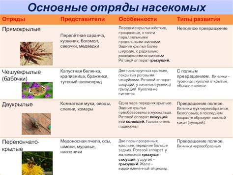 Области поселения мольных насекомых в жилом пространстве: основные предпосылки появления и развития