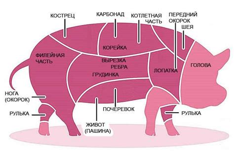 Обнаружение некачественного мяса свинины: как распознать подделку