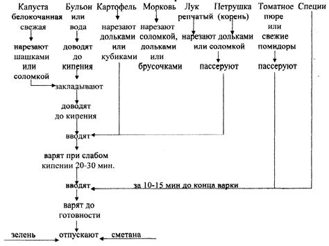 Общая характеристика щей