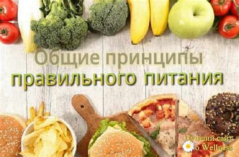 Общие принципы питания у разнообразных ботанических организмов