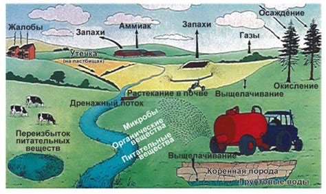 Ограничения и риски при применении молока в качестве разбавителя для смеси