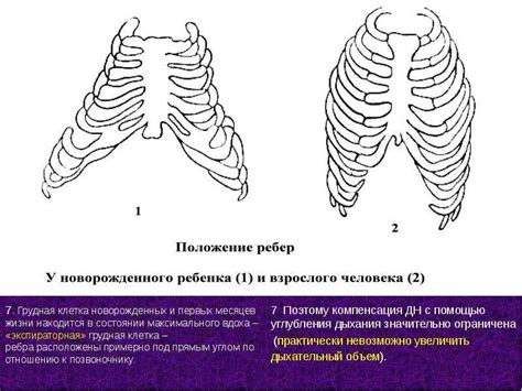 Ограниченная подвижность грудной клетки