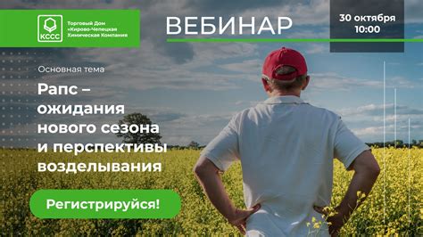 Ожидания и особенности нового сезона