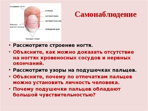 Ожирение и сдавливание нервных окончаний: влияние на чувствительность пальцев
