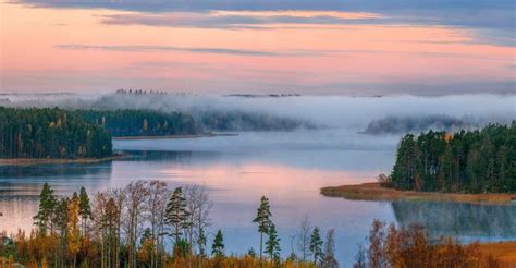 Озеро Ладожское: сбор ягод на побережье великой воды