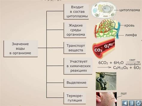 Ознакомление с расположением базы и окружающей средой