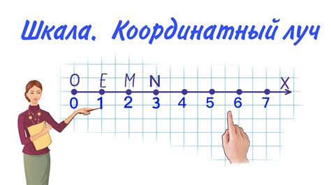 Описание уникальной числовой системы