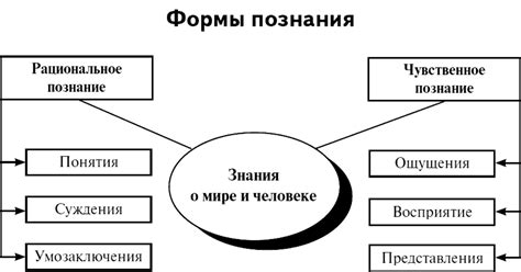 Определение и основные принципы рационального познания