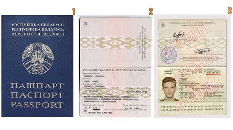 Определение подразделения в белорусском паспорте: поиск информации