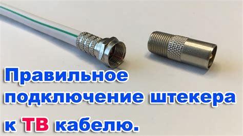 Определение полярности штекера: как определить правильное подключение