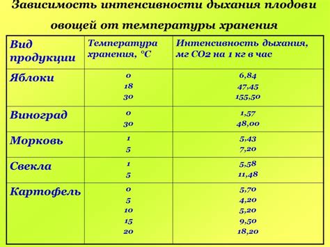 Оптимальная температура для хранения чеснока
