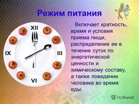 Оптимальное время приема пищи и распределение питания