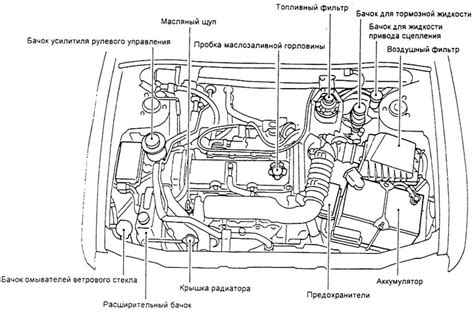 Организация расположения соединительных точек для диагностики в Nissan Terrano