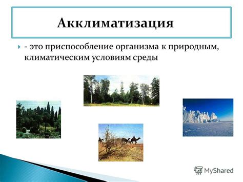 Организм и приспособление к разным климатическим условиям