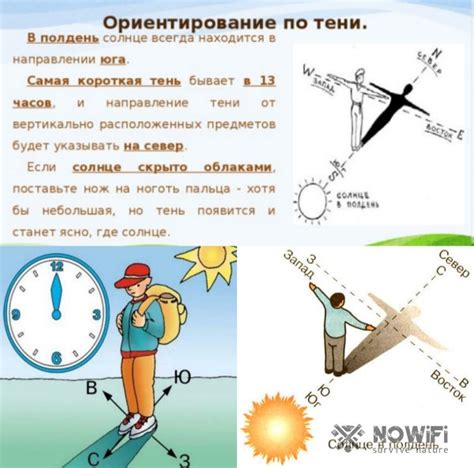 Ориентирование без компаса: наш путь в мире сторон света